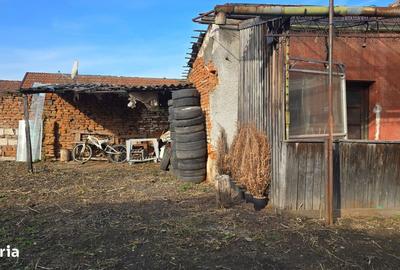 Casă cu 2 camere cu Teren 1585 Mp în Brănișca - 10
