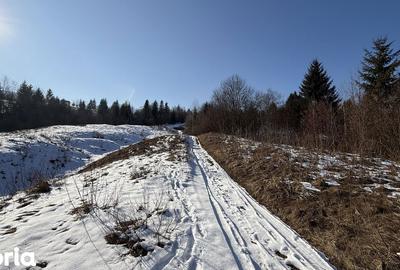 Teren de 21053 mp, în Vama