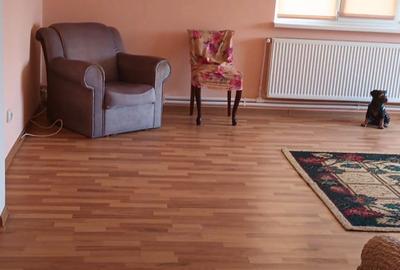 Casă cu 4 camere în Mărunțișu - 1