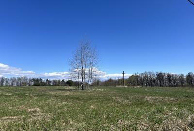 Teren de 5000 mp, în Băbana - 1