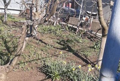 Casă cu 4 camere cu Teren 800 Mp în Central