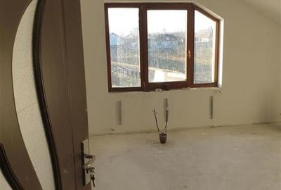 Teren Mare cu 2 case in Biharia. - 29