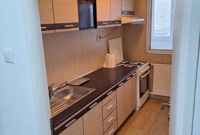 Colentina, Doamna Ghica vav Parc Plumbuita - 3