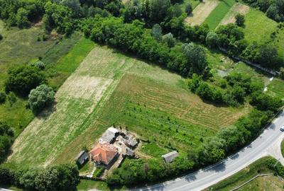 TEREN COMERCIAL, LOGISTIC SAU PARCELABIL - 10.176 Mp - 17