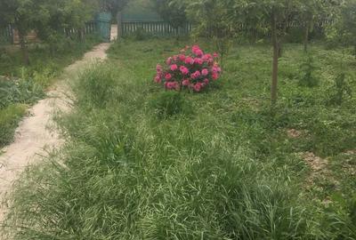 Spațiu comercial, în Pitulați - 2