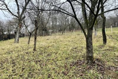 Teren 1357 mp cu vedere panoramica superba Dimitrie Cantemir, Piatra-Neam? - 9