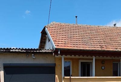 Casă cu 5 camere cu Teren 1820 Mp în Radovan - 1