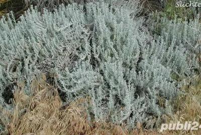 Vand apartament in Oradea - 12