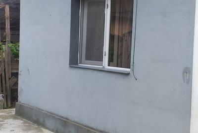 Casă cu 3 camere cu Teren 1700 Mp în Izvoarele - 8