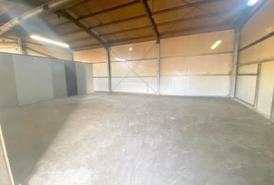 Spațiu industrial, de 132 mp, în Săcălaz - 4