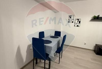 Apartament cu 2 camere de inchiriat in zona Brazda lui Novac - 5