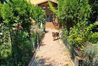 De vanzare vila 5 cam, 270 mp curte, Jilava/Centura/A0 - 5