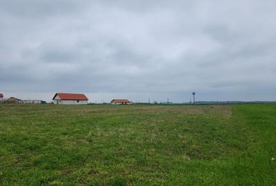 Casă cu 3 camere în Rogova - 2