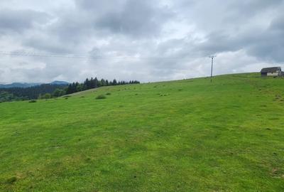 Parcele de vis in munti – Zona Arka Park, cu drum de acces si PUZ aprobat - 16