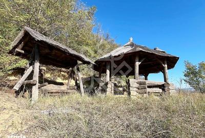 Casă cu 6 camere cu Teren 2046 Mp în Brusturi - 14