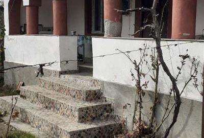 Schimb sau vand casa in com.Runcu.sat BALTiSOARA. - 4