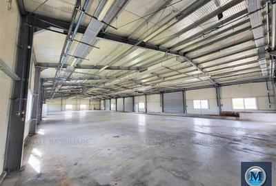 Spatiu industrial de inchiriat, zona Exterior Vest, 1026 mp #16461 - 4
