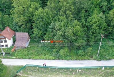 TEREN INTRAVILAN CONSTRUIBIL 400 mp | Statiunea Boga,... - 4