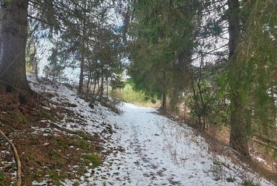 Teren intravilan de 15000 mp, în Gura Haitii - 4