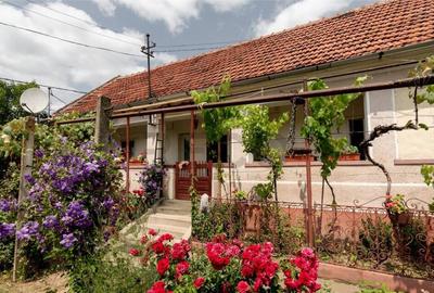 RECO Casa de Ineu - 6