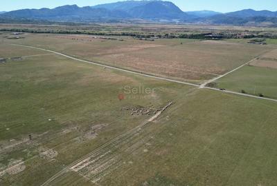 Teren extravilan Rasnov - 17