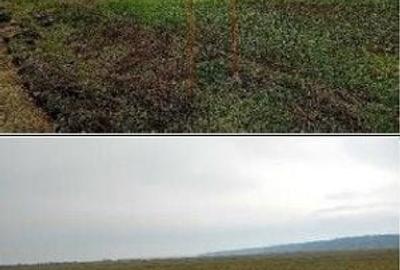 Teren de 635 mp, în Hârsești - 5