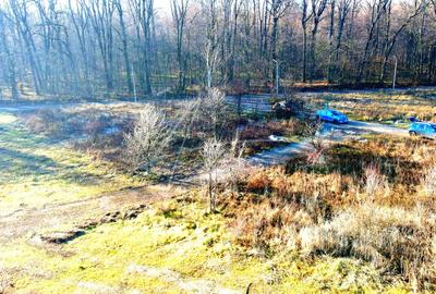 Teren intravilan, 2 fronturi, Drumul Padurea Pustnicu 65 - Greenfield - 21