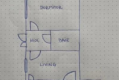 Casa individuala, Gura Raului, judetul Sibiu - 7