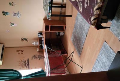 Apartament cu 2 camere semidecomandat în Ultracentral - 5