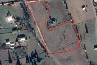 Teren de 9999 mp, în Neagra - 1