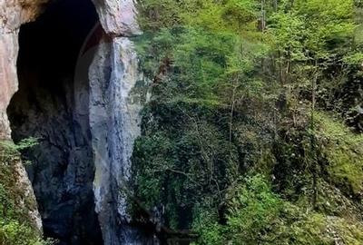 Teren 20,000mp Drobeta Turnu-Severin / Aleea La bogobia - 5