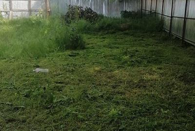 Teren de 400 mp, în Central