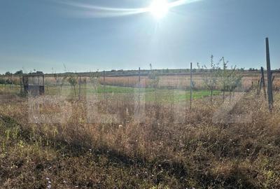 Teren extravilan, 500 mp, Oarda de Jos - 2