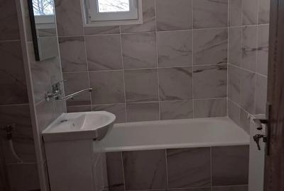 Apartament cu 3 camere decomandat în Brazda lui Novac - 11