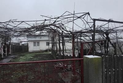 Casă cu 3 camere în Străjescu - 3