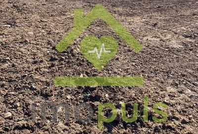 Teren de 10000 mp, în Mesteacăn (Brad) - 4