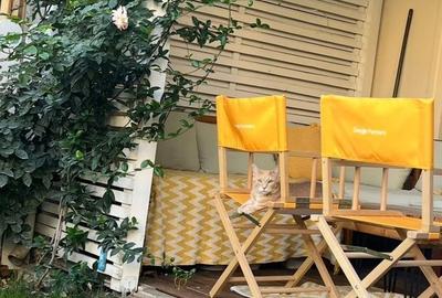 Casă cu 3 camere în Ștefăneștii de Sus - 13