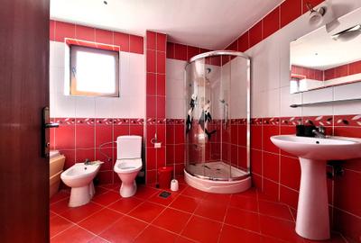 Vanzare vila S + P + 1 + M, Tancabesti , teren: 1.196 mp, comision 0% - 7
