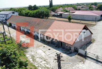 COMISION 0% Spatiu industrial de 695 mp si teren de 1821 mp - Giulvaz - 6
