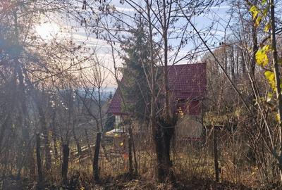 Teren intravilan Breaza 4,000mp cu  utilitati. Panorama superba. Intimitate. - 5