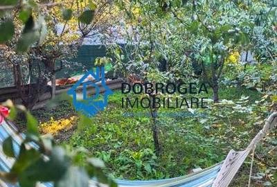 Casă individuală cu 3 camere cu Teren 1426 Mp în Mineri - 2