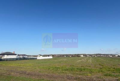 Teren de 4000 mp, în Ordoreanu - 2