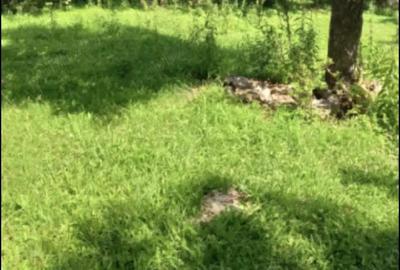 Casă în Breaza de Sus - 5