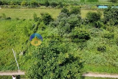 Teren de 750 mp, în Alexandru cel Bun