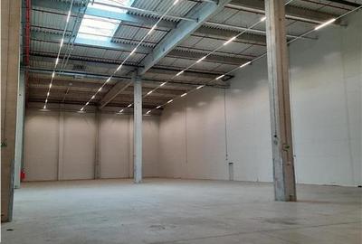 Spatiu Industrial - 1500 mp - Logistica - Productie - Depozitare - 9