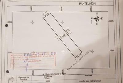 Teren de 10000 mp, în Central