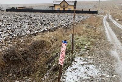 Teren zona Spital nou, punct Dl.Lung - 1