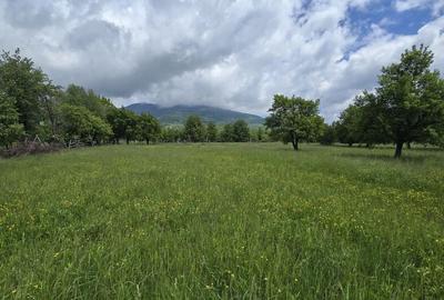 Teren de 715 mp, în Prundu Bârgăului - 2