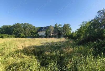 TEREN INTRAVILAN //GAGENI//PAULESTI - 8