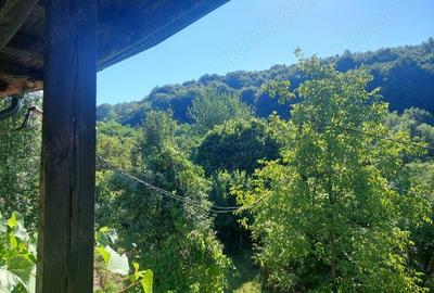 Vand vila jud Prahova com Drajna de Sus - 8